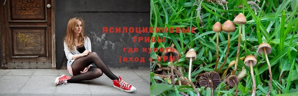 твердый Нея