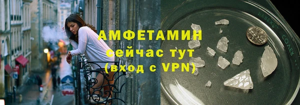гашик Болотное