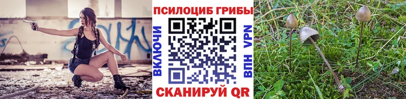 KRAKEN ONION  Скопин  Галлюциногенные грибы MAGIC MUSHROOMS 