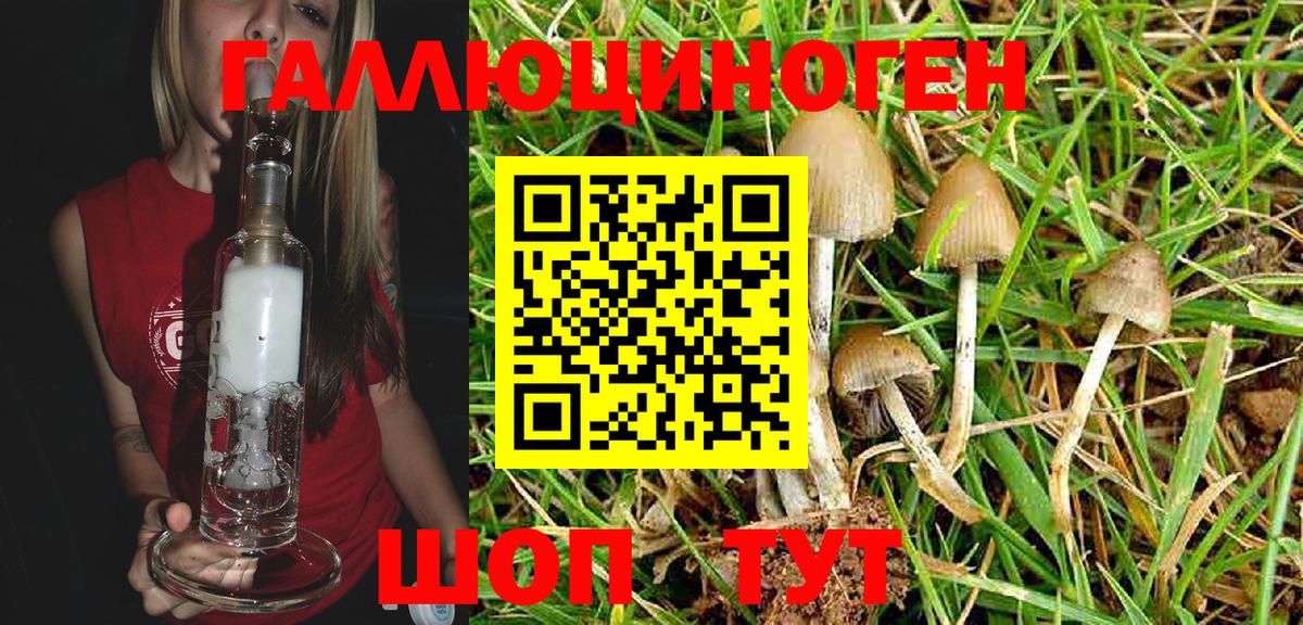 наркота  Вход с VPN  Скопин  Галлюциногенные грибы Psilocybine cubensis 