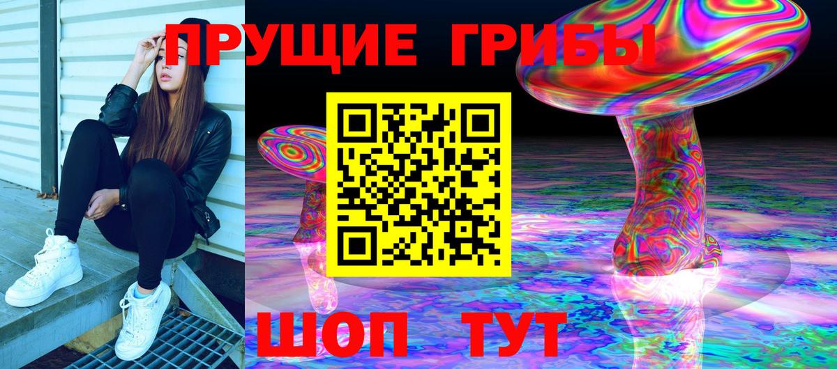 Псилоцибиновые грибы прущие грибы  купить наркотик  Псилоцибиновые грибы MAGIC MUSHROOMS  Скопин 