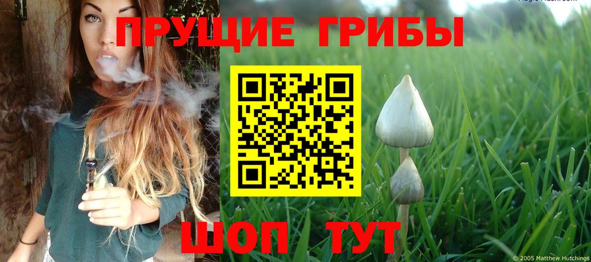 Галлюциногенные грибы мицелий Скопин