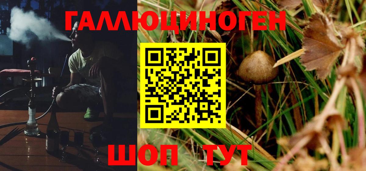 Псилоцибиновые грибы мицелий Скопин